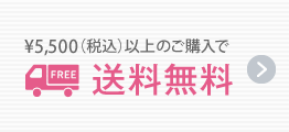 送料無料（5,400円以上のご購入）